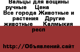 Вальцы для вощины ручные  › Цена ­ 10 000 - Все города Животные и растения » Другие животные   . Калмыкия респ.